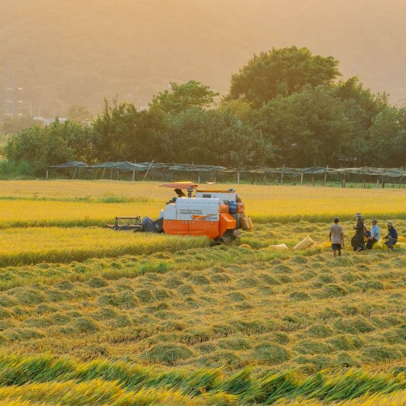 Food and Agriculture